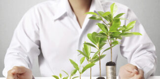 Как вывести бизнес в устойчивый рост: почему бизнесмены обращаются за разработкой стратегии к экспертам, на основе каких данных корректируется первоначальная стратегия