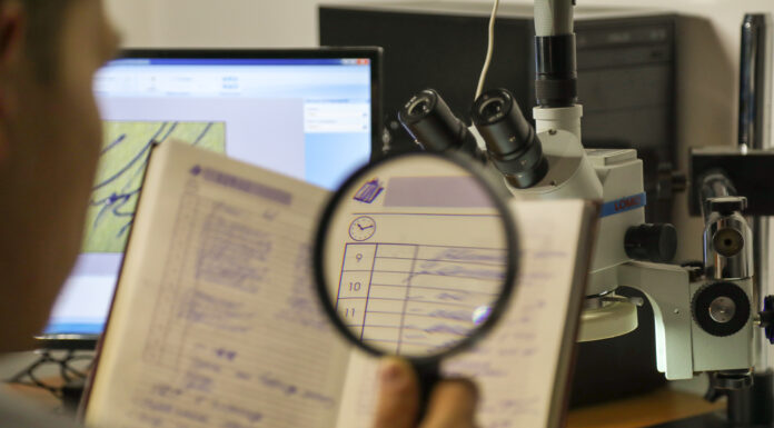 Зачем нужна экспертиза ТКЭД, и как она проводится