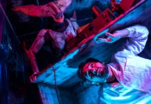 Выбор страшного квеста: подробности