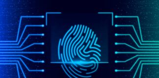 KYC и AML: в чем разница и как они связаны