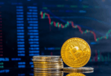 Криптовалюта: будущее финансов или временный тренд