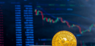 Криптовалюта: будущее финансов или временный тренд