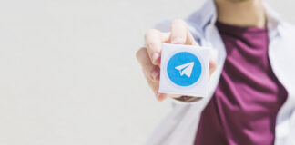 Подписчики в Telegram: как аудитория влияет на успех канала